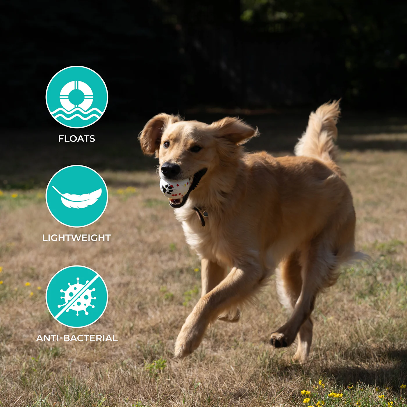 Shedrow K9 FlexiPlay Ball - Image 4
