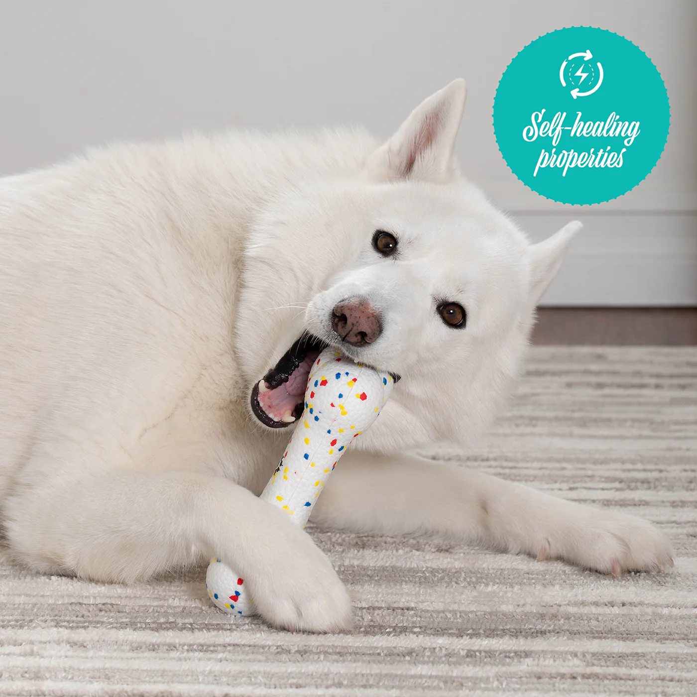 Shedrow K9 FlexiPlay Bone - Image 5