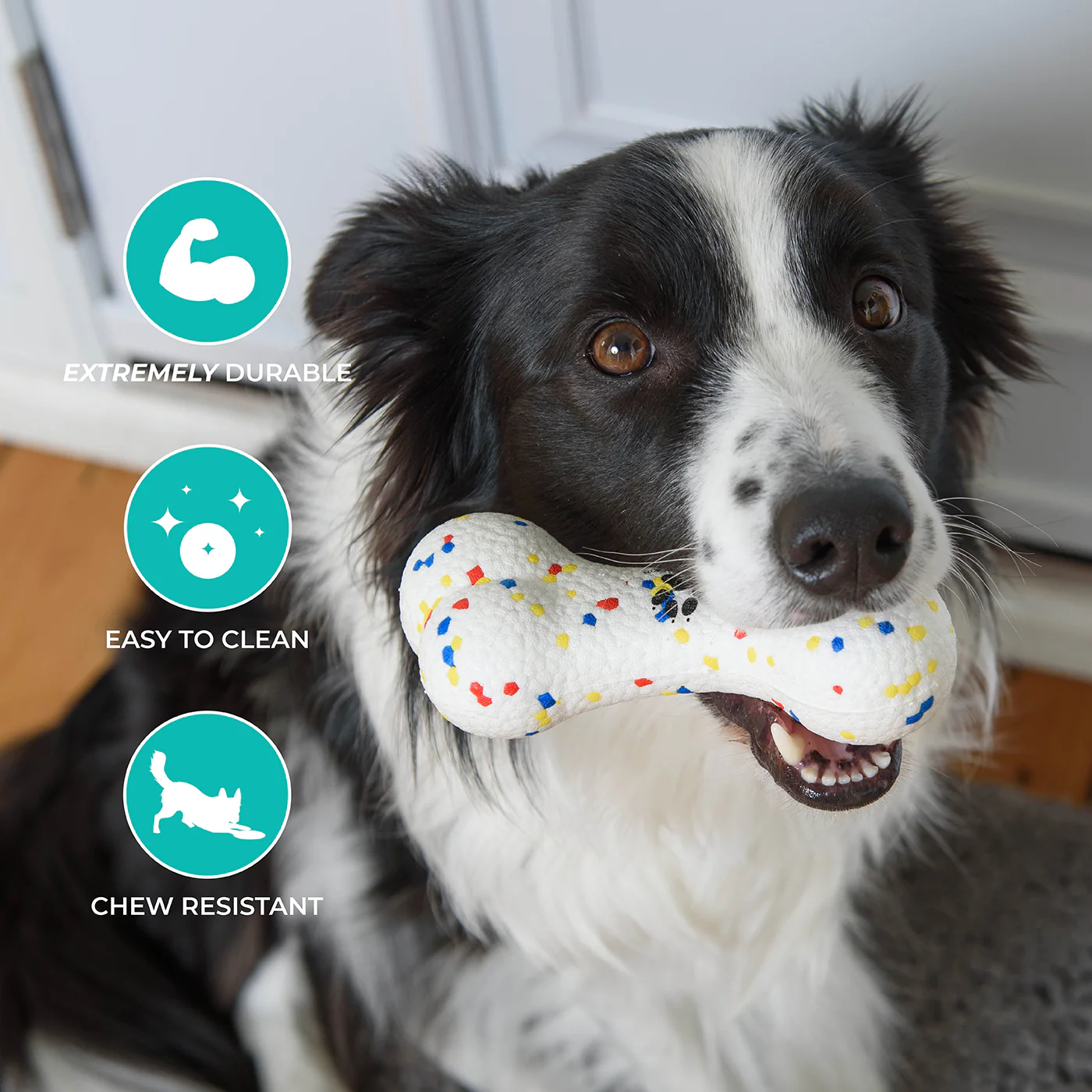 Shedrow K9 FlexiPlay Bone - Image 8