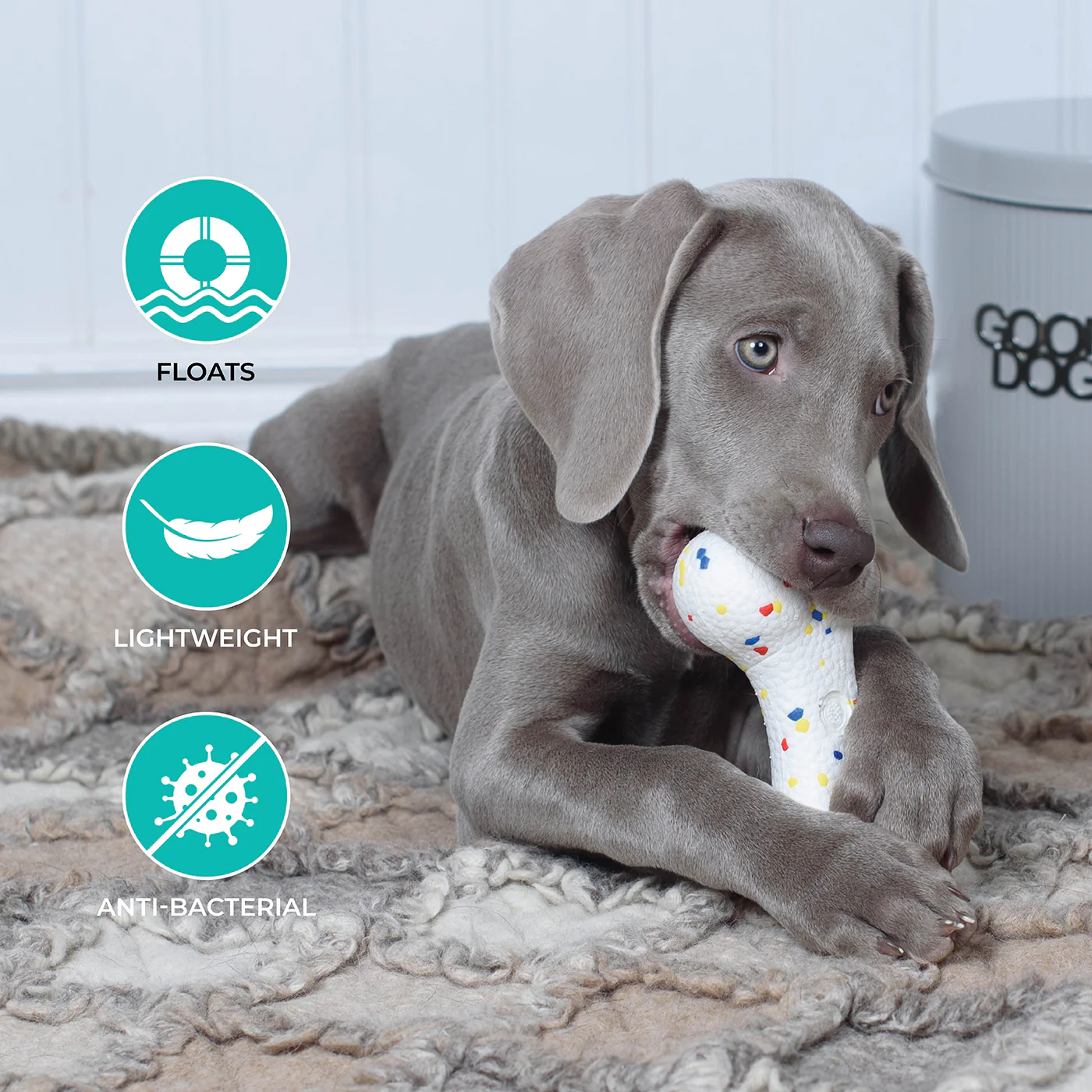 Shedrow K9 FlexiPlay Bone - Image 9