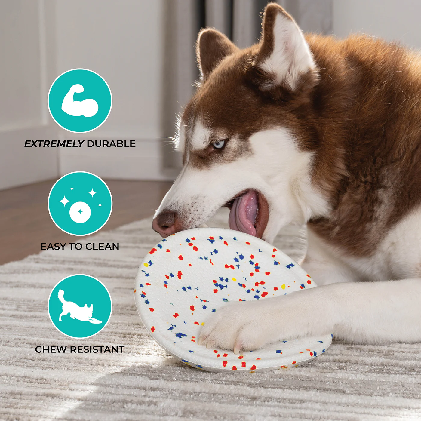 Shedrow K9 FlexiPlay Frisbee - Image 3