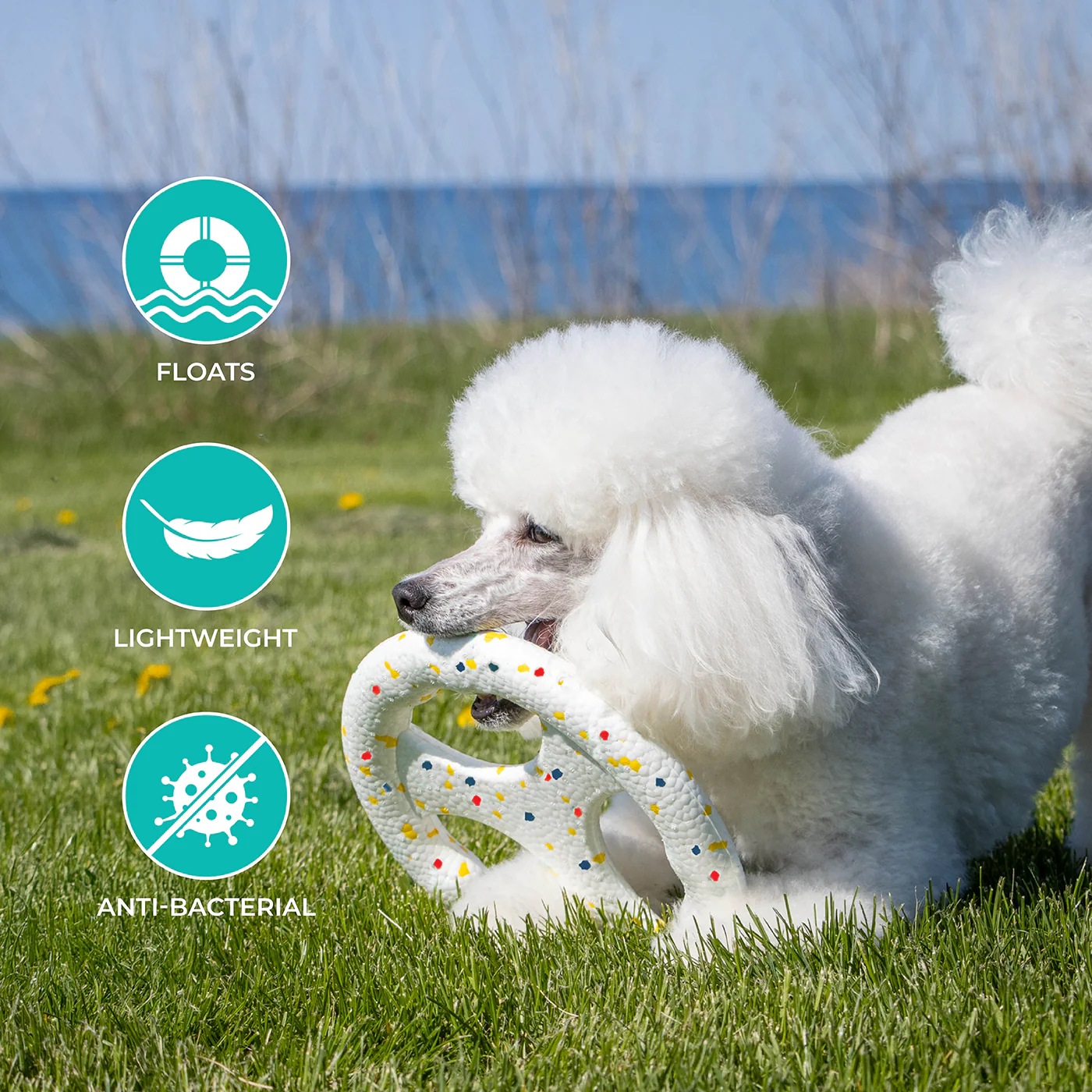 Shedrow K9 FlexiPlay Tug N' Toss Flyer - Image 4