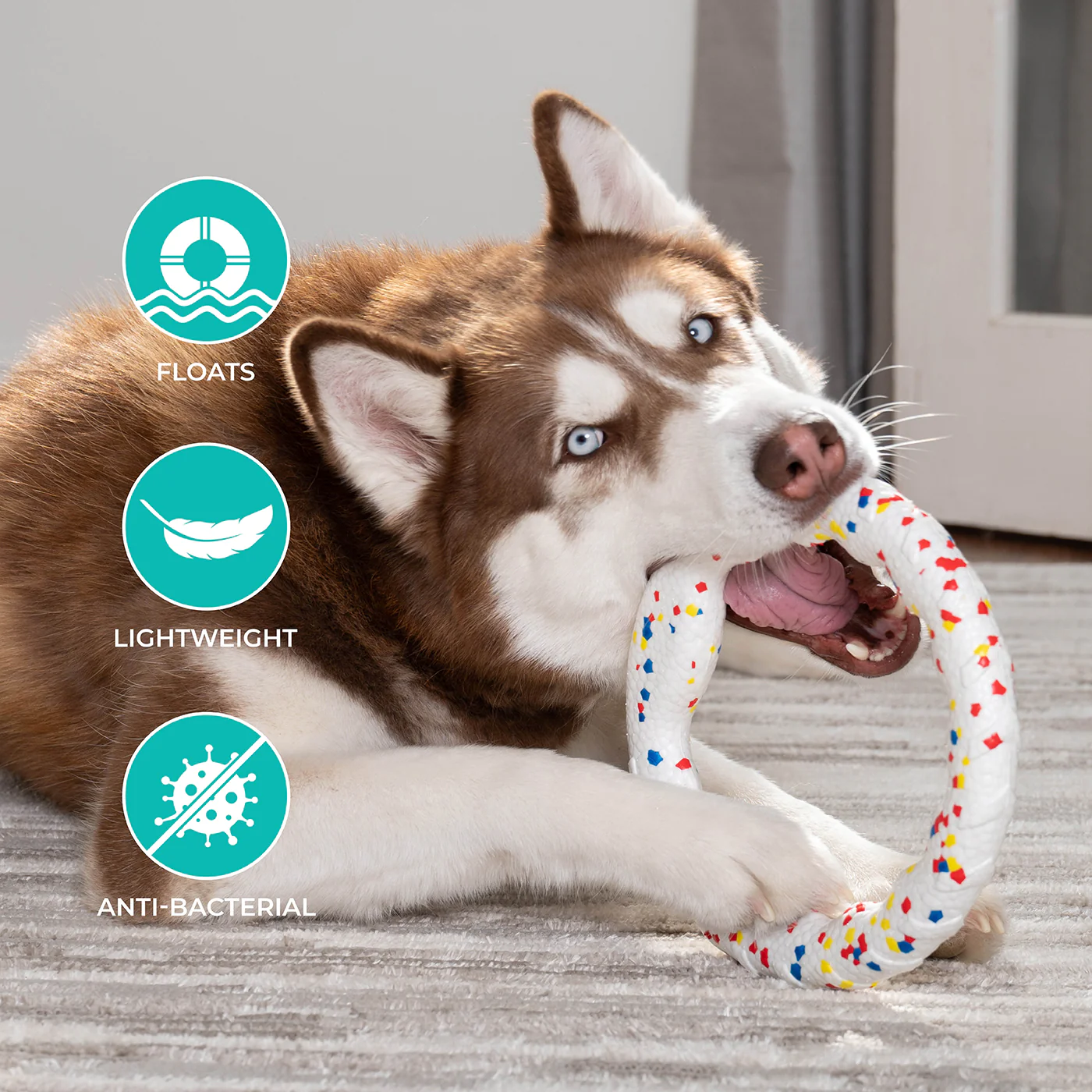 Shedrow K9 FlexiPlay Tug Ring - Image 4