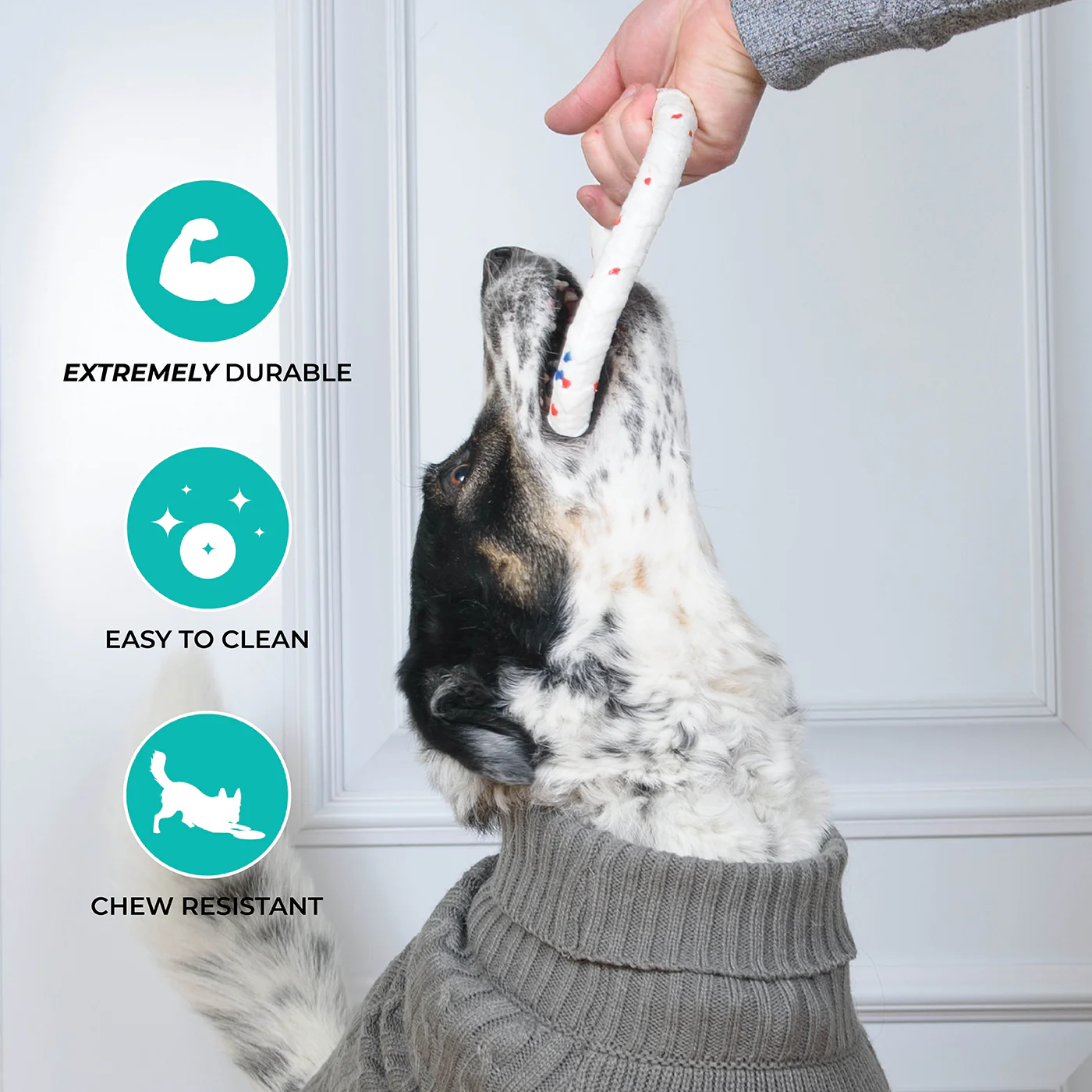 Shedrow K9 FlexiPlay Tug Ring - Image 8