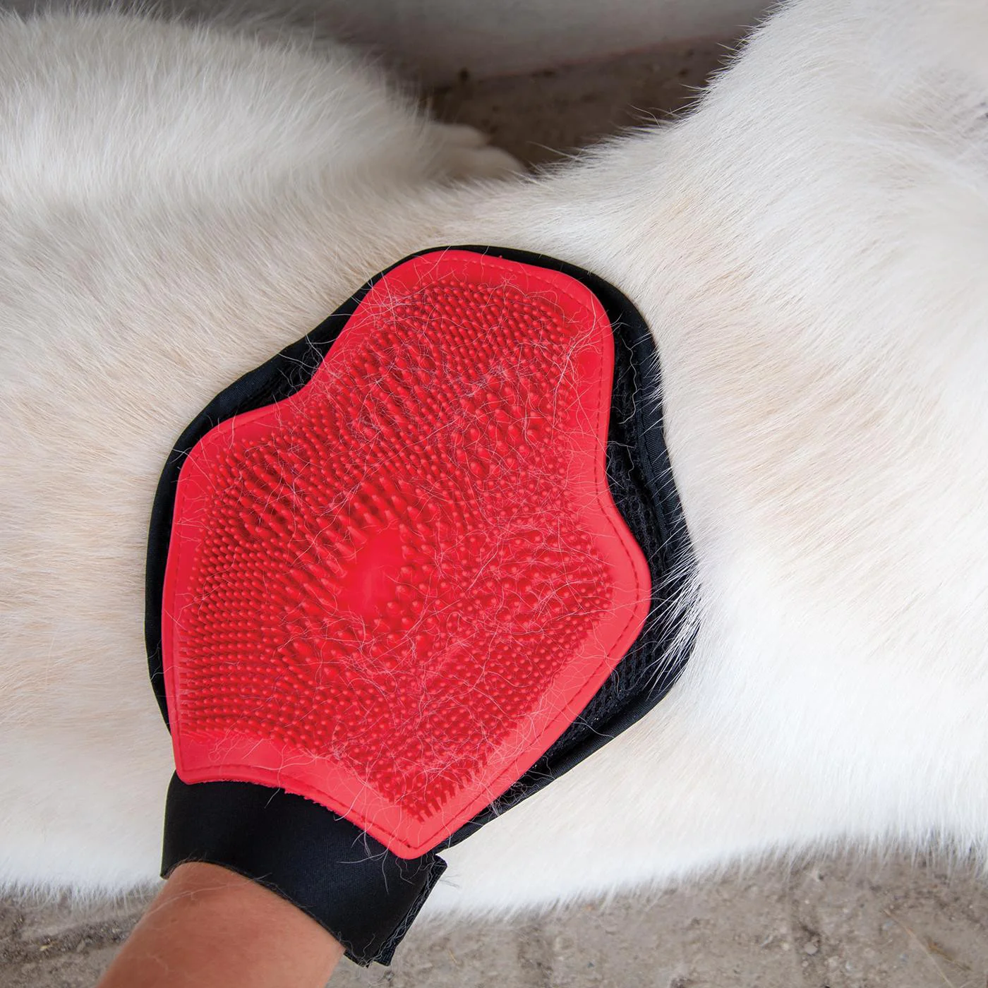 Shedrow K9 Grooming Glove - Image 3