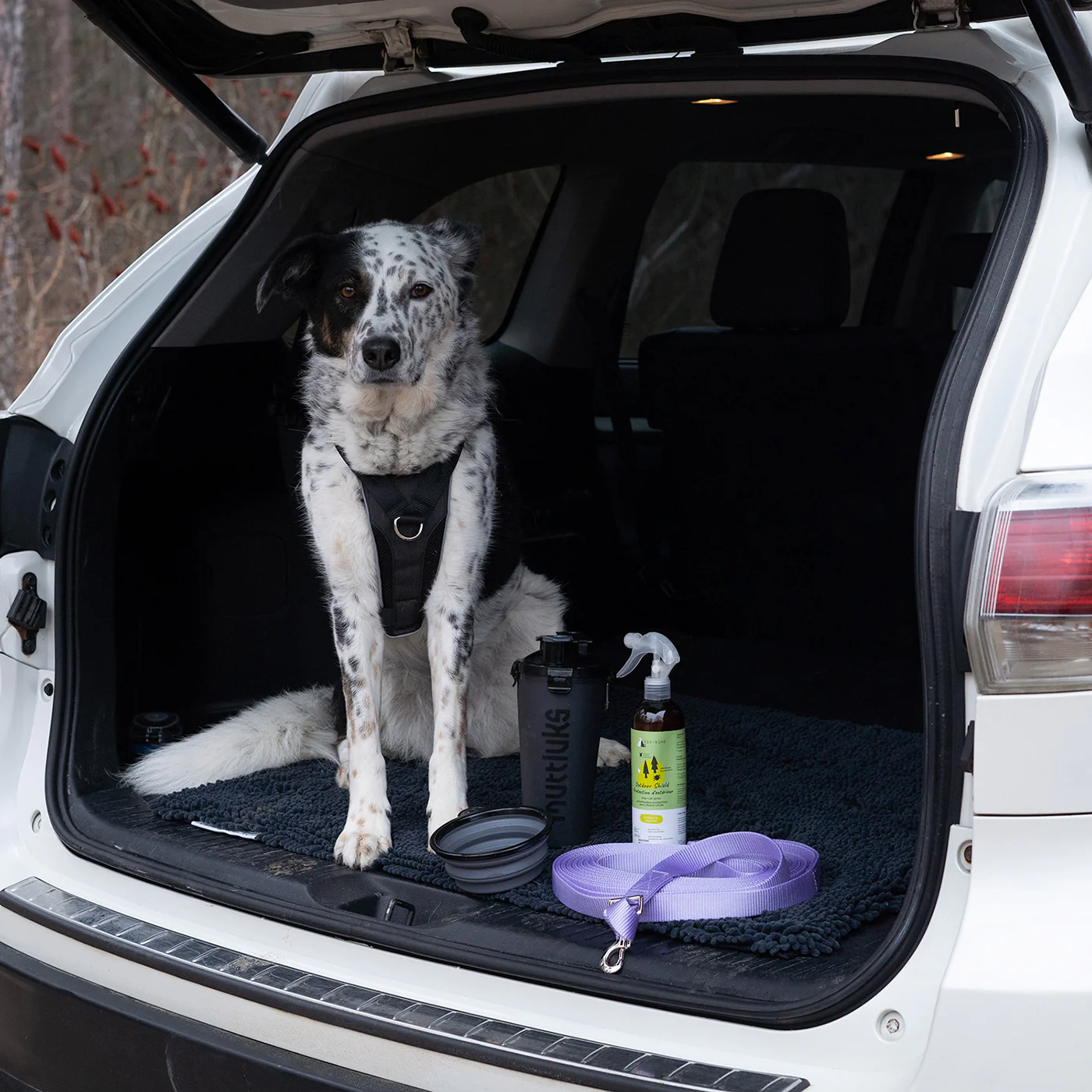 Shedrow K9 Long Lead 9 m - Image 7
