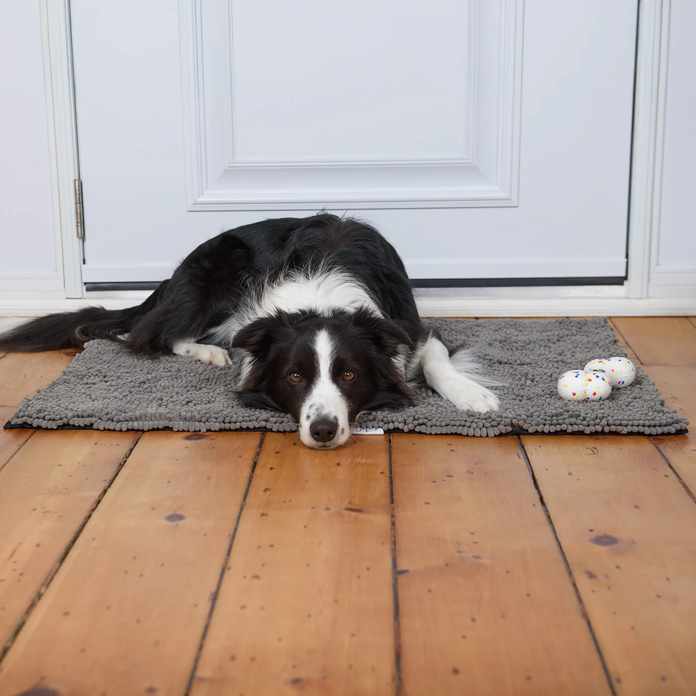Shedrow K9 Mud Mat - Image 5