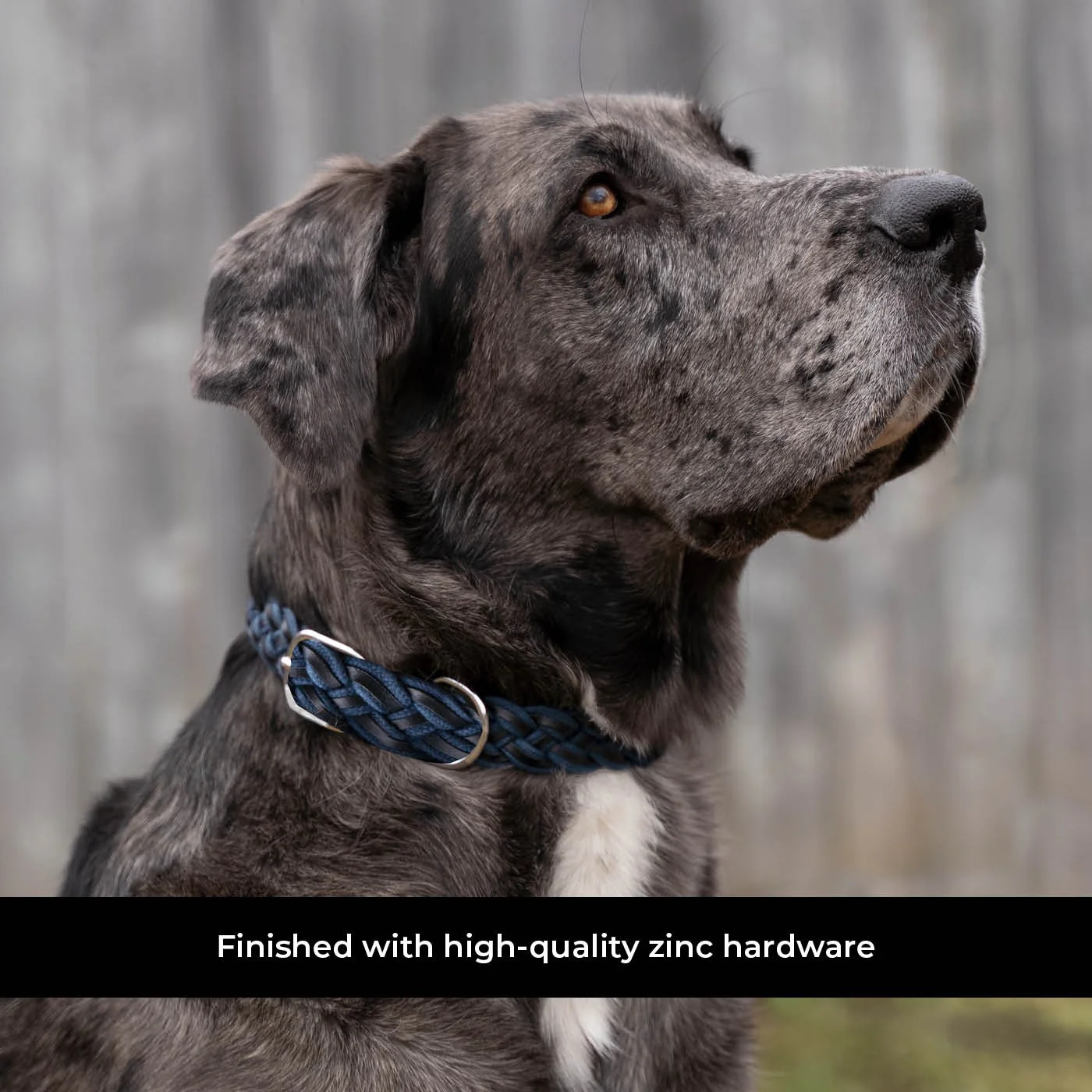 Shedrow K9 Rideau Braided Rope & Leather Collar - Image 10