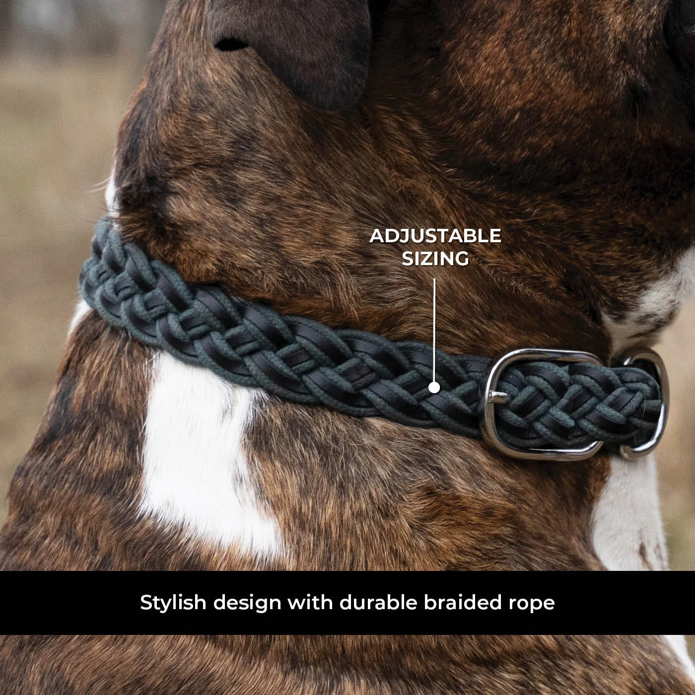 Shedrow K9 Rideau Braided Rope & Leather Collar - Image 22