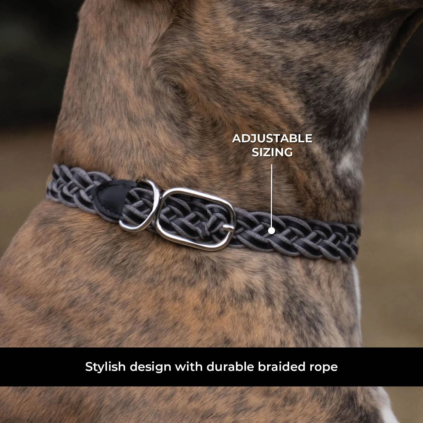 Shedrow K9 Rideau Braided Rope & Leather Collar - Image 28