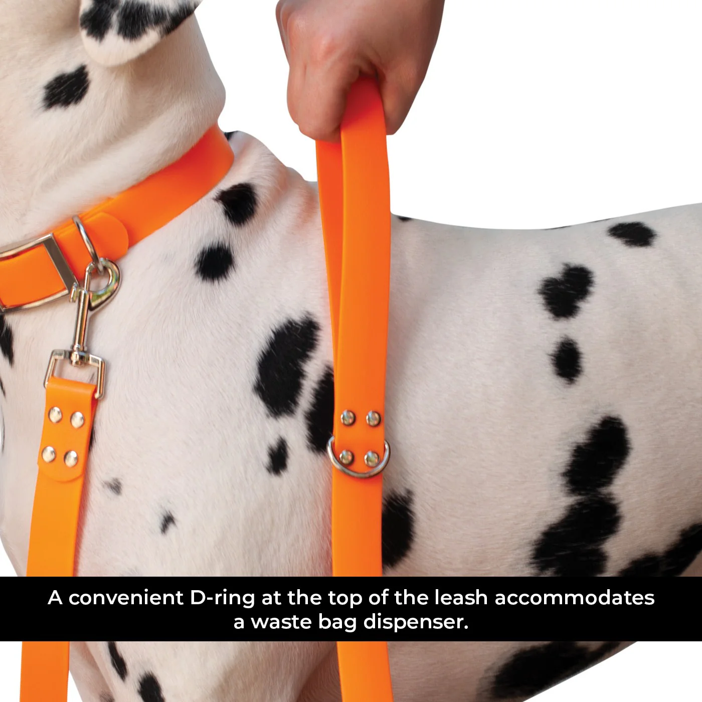 Shedrow K9 Tofino II Waterproof Leash 1.5 m - Image 3