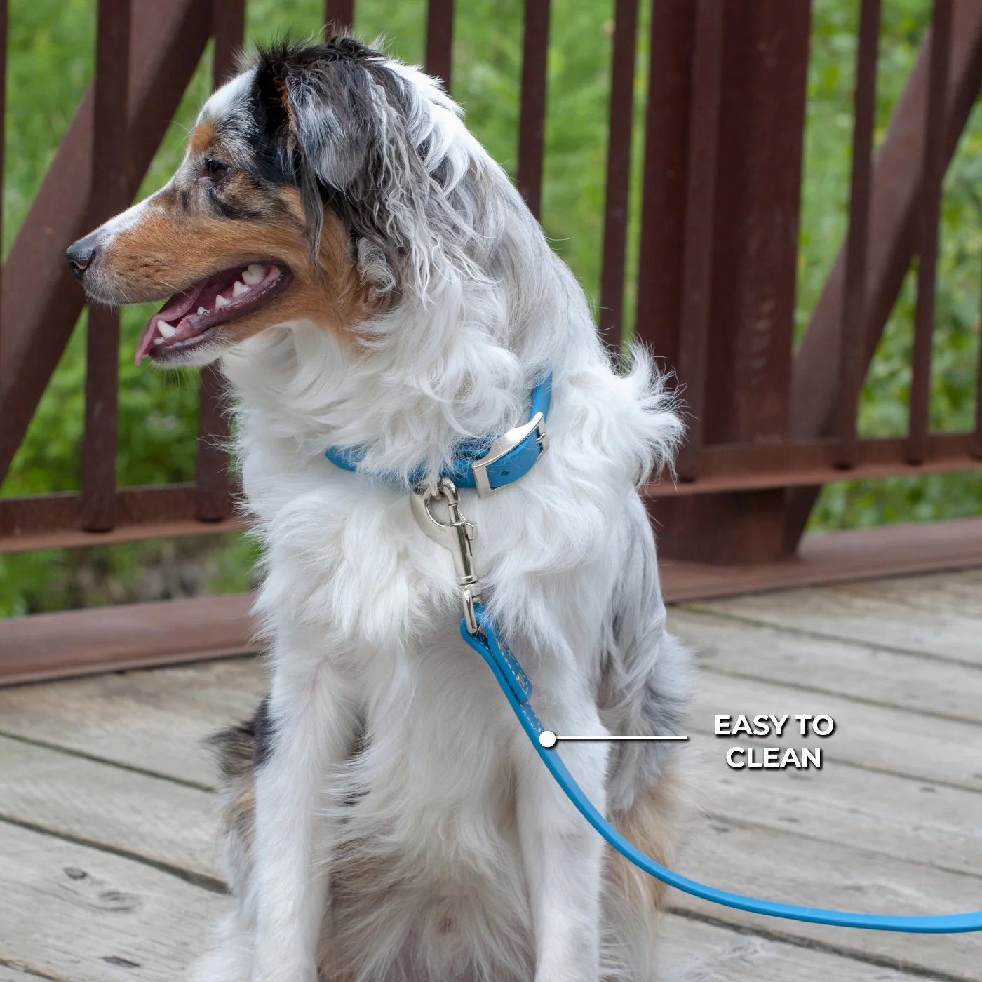 Shedrow K9 Tofino II Waterproof Leash 1.5 m - Image 7