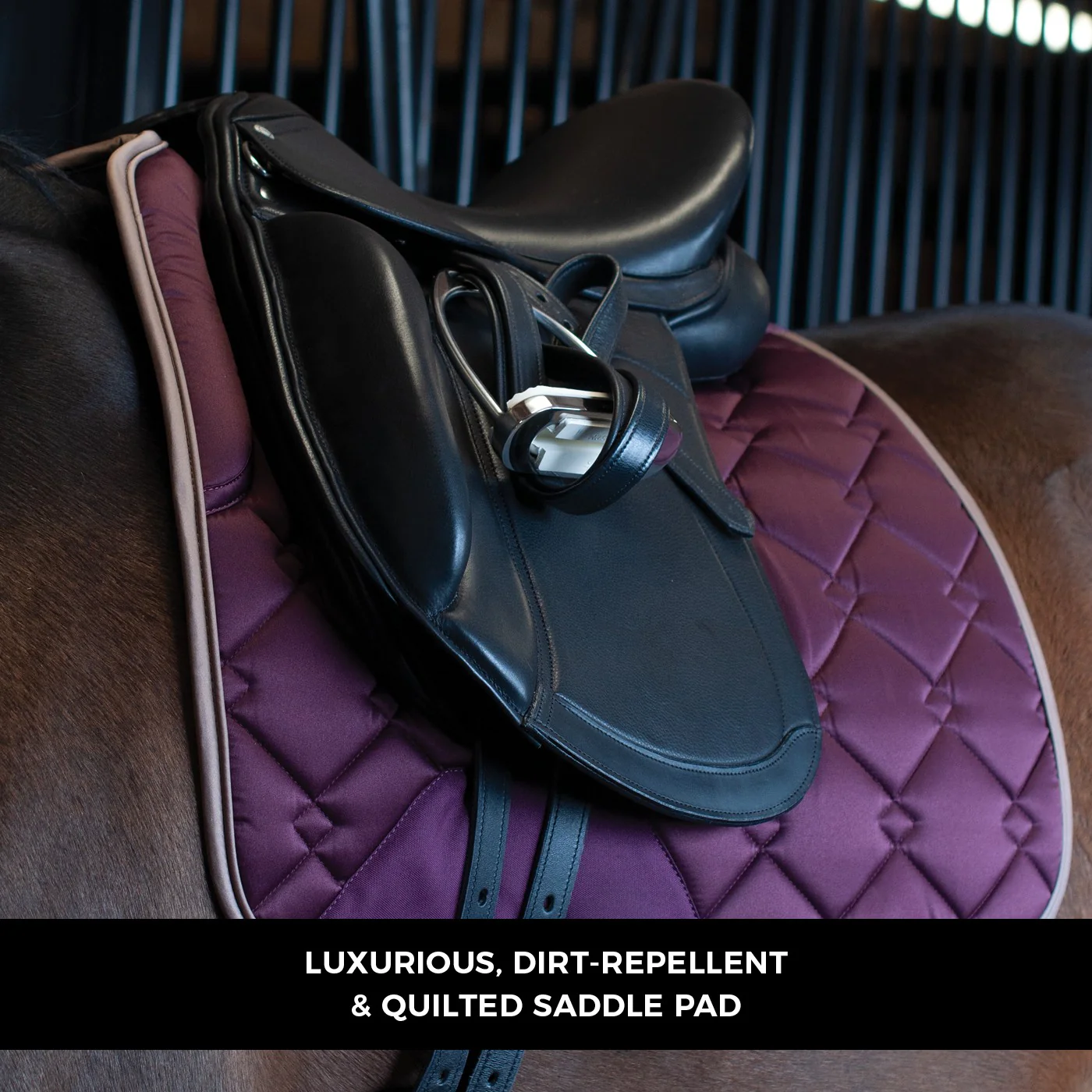 Shedrow Laurent Dressage Saddle Pad - Image 4
