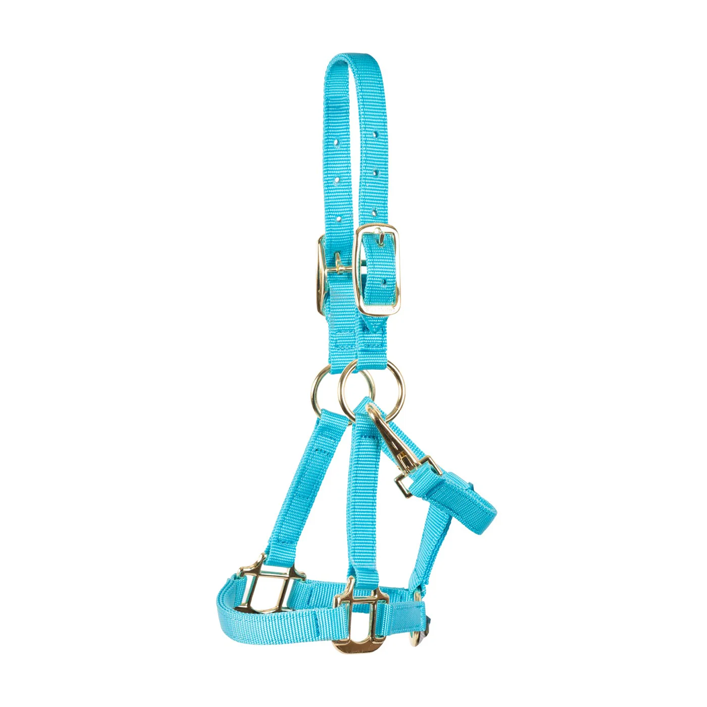 Shedrow Mini Nylon Halter - Image 6