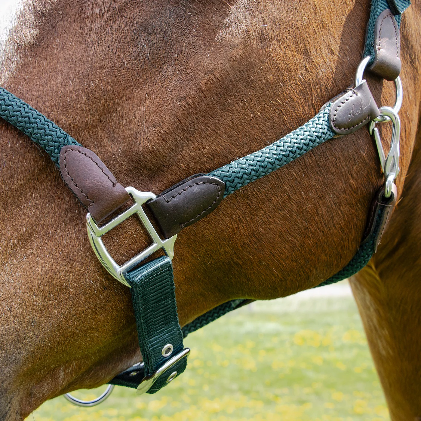 Shedrow Nylon & Leather Halter - Image 3