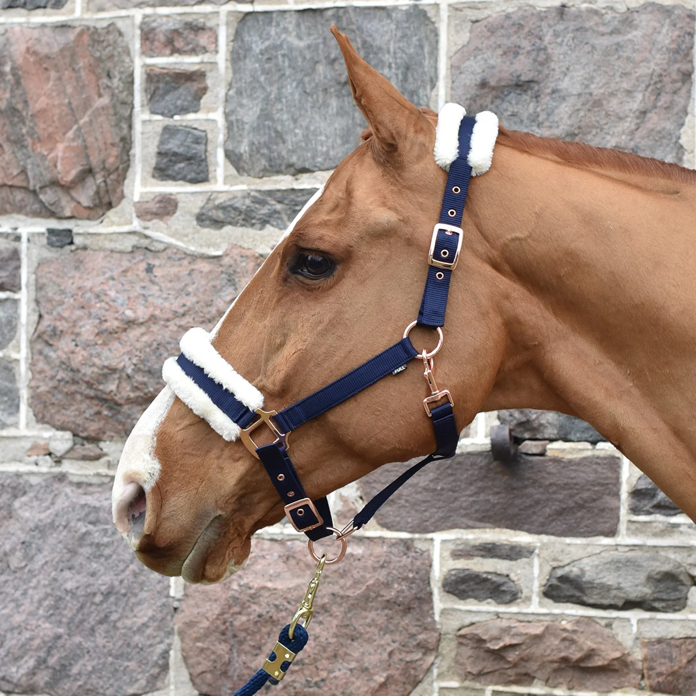 Shedrow Rose Gold Sheepskin Lined Halter - Image 2