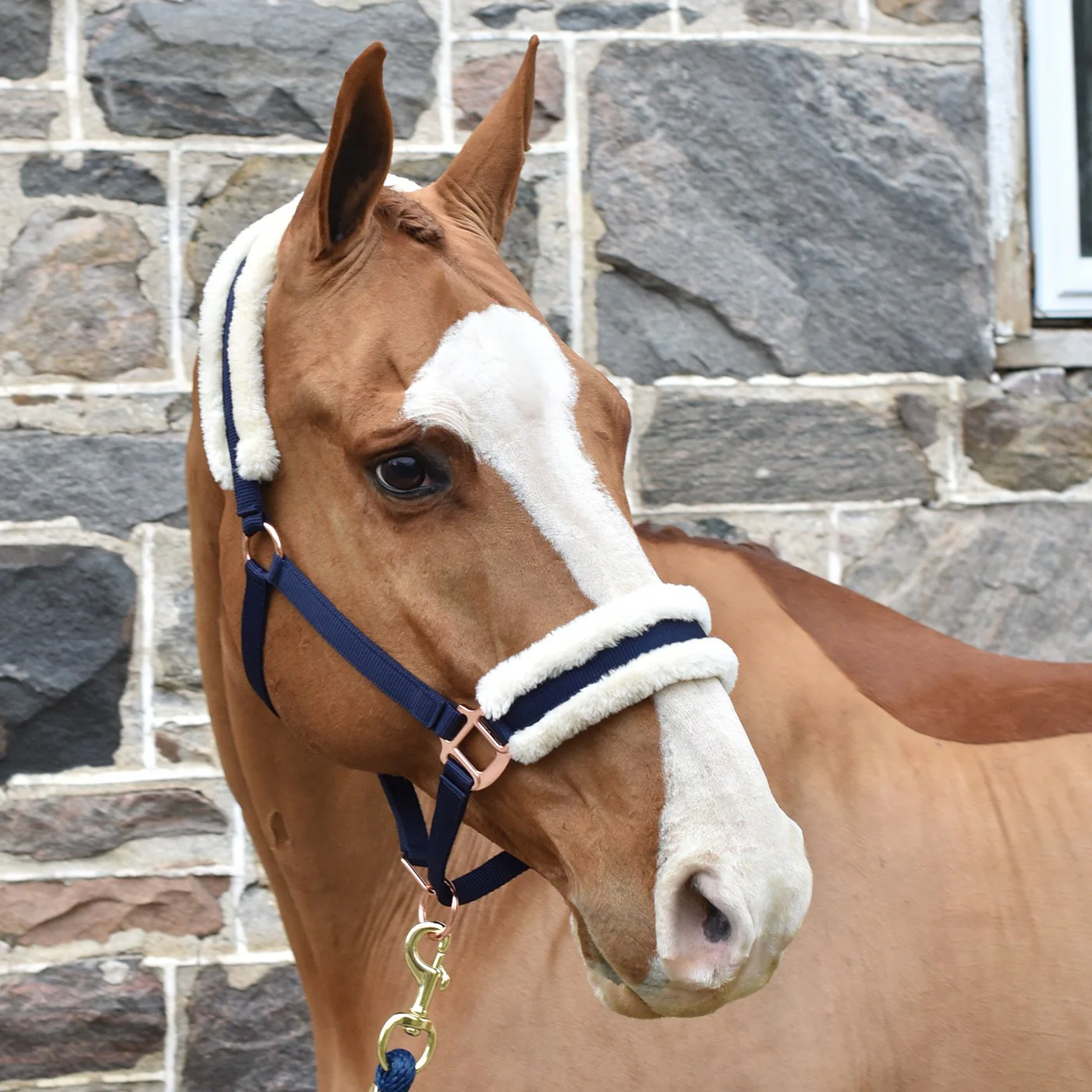 Shedrow Rose Gold Sheepskin Lined Halter - Image 3