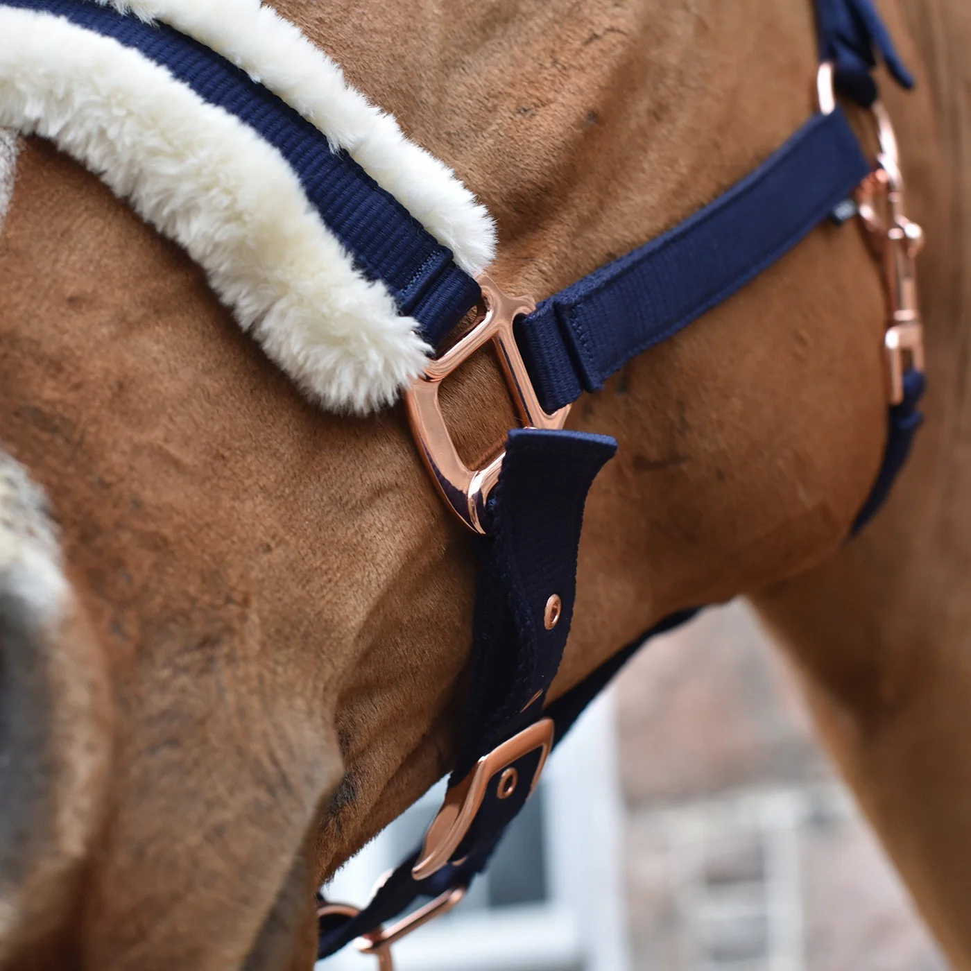 Shedrow Rose Gold Sheepskin Lined Halter - Image 5
