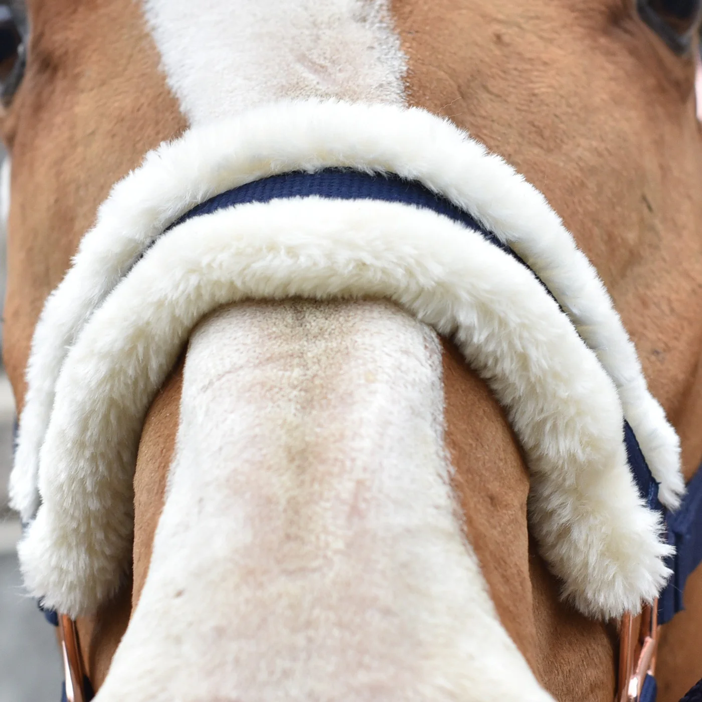 Shedrow Rose Gold Sheepskin Lined Halter - Image 6