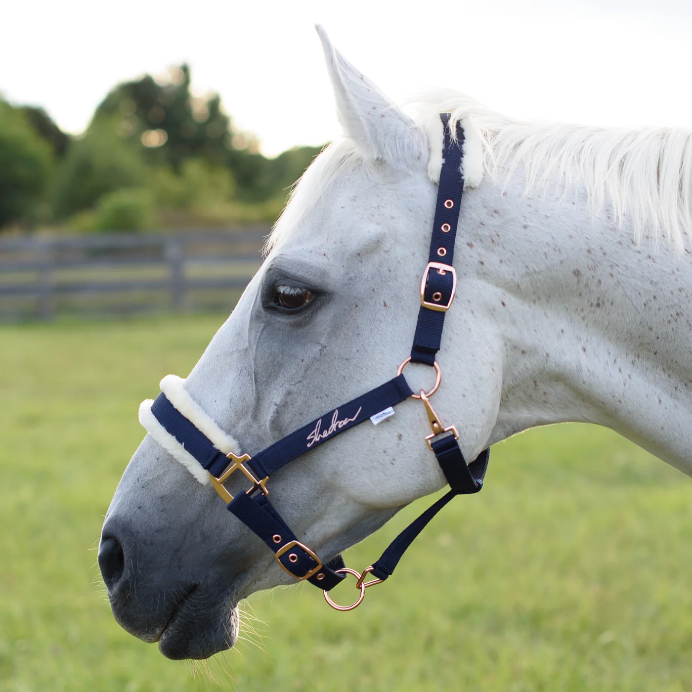 Shedrow Rose Gold Sheepskin Lined Halter - Image 8