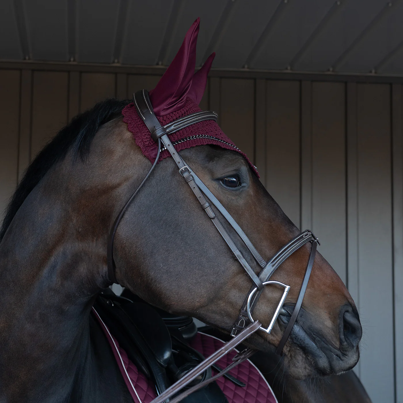 Shedrow Saber Fly Veil - Image 12