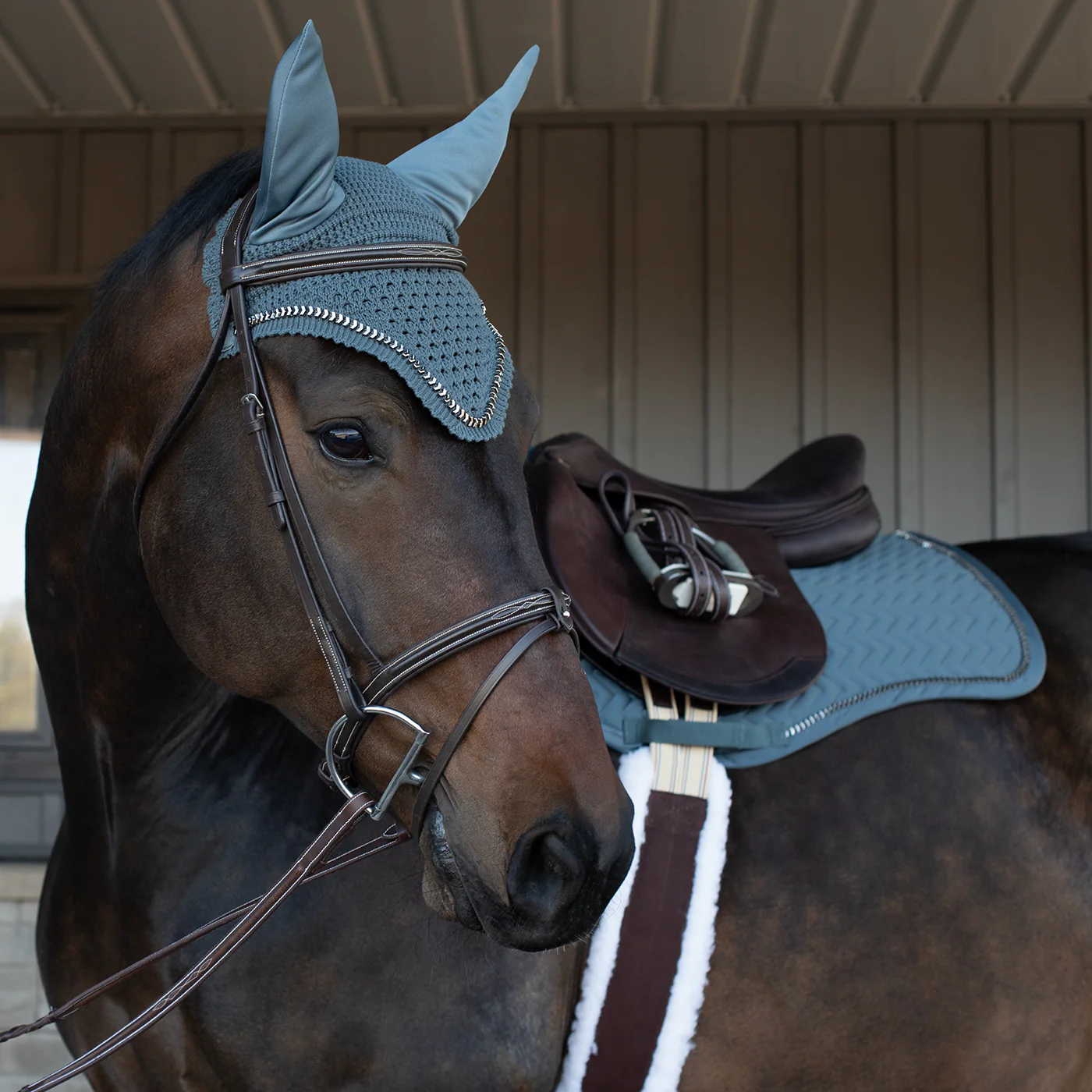 Shedrow Saber Fly Veil - Image 4
