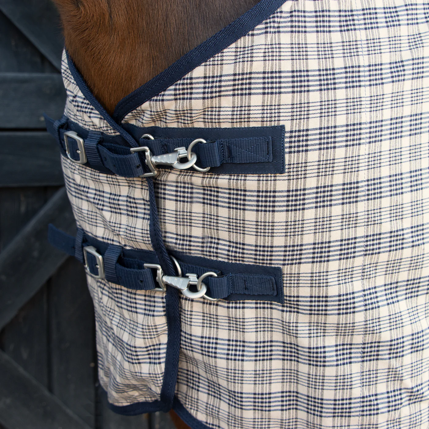 Shedrow Traditional Plaid Sheet - Image 2