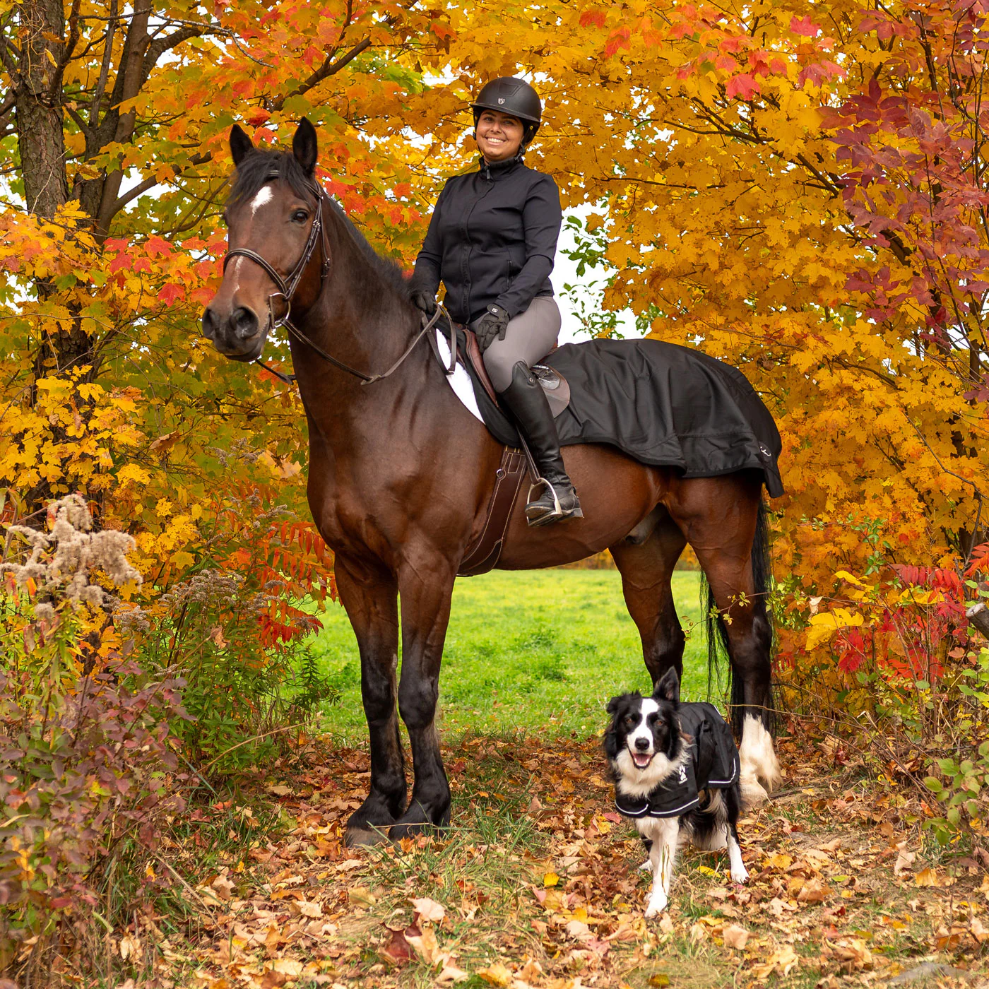 Shedrow Weatherproof Exercise Sheet