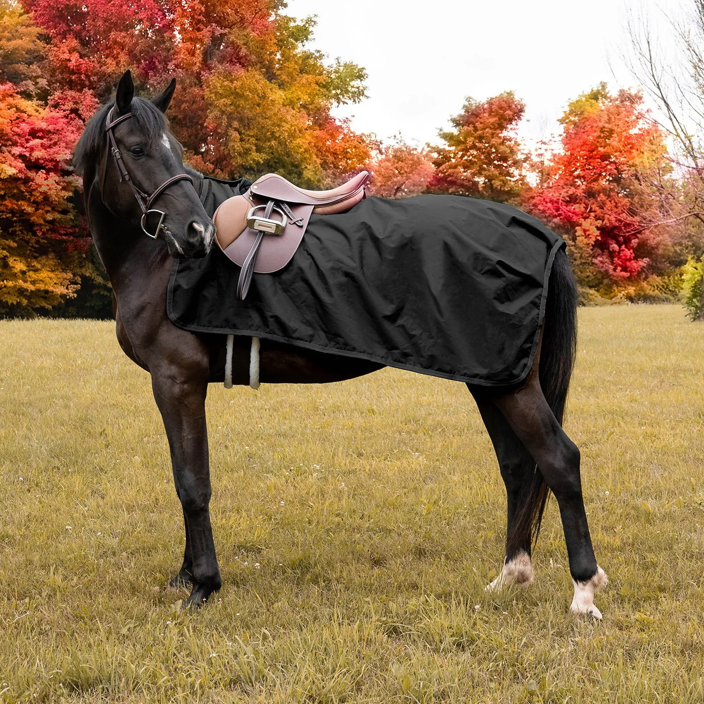 Shedrow Weatherproof Exercise Sheet - Image 2
