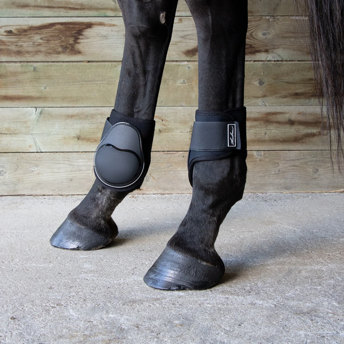 Shedrow Young Horse Fetlock Boots - Image 3