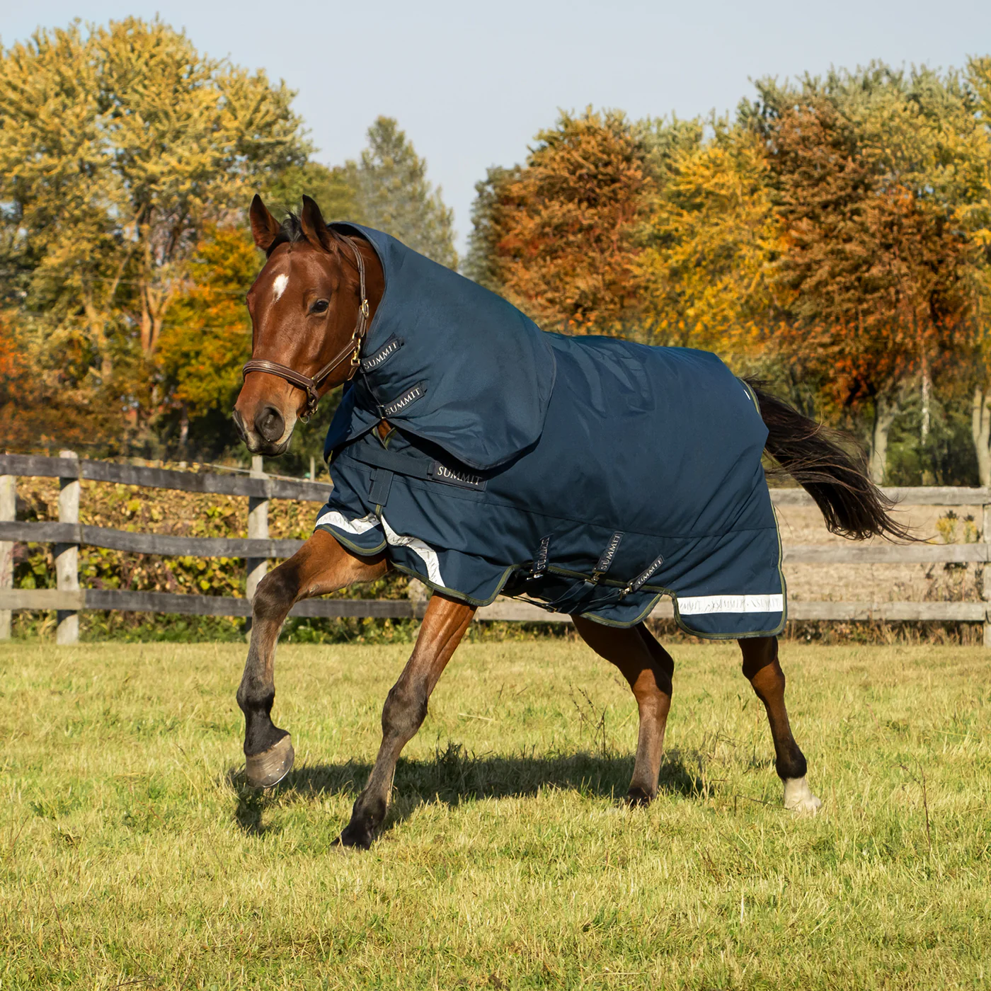 Summit Nova Turnout Blanket 100 g W/ Hood - Image 2