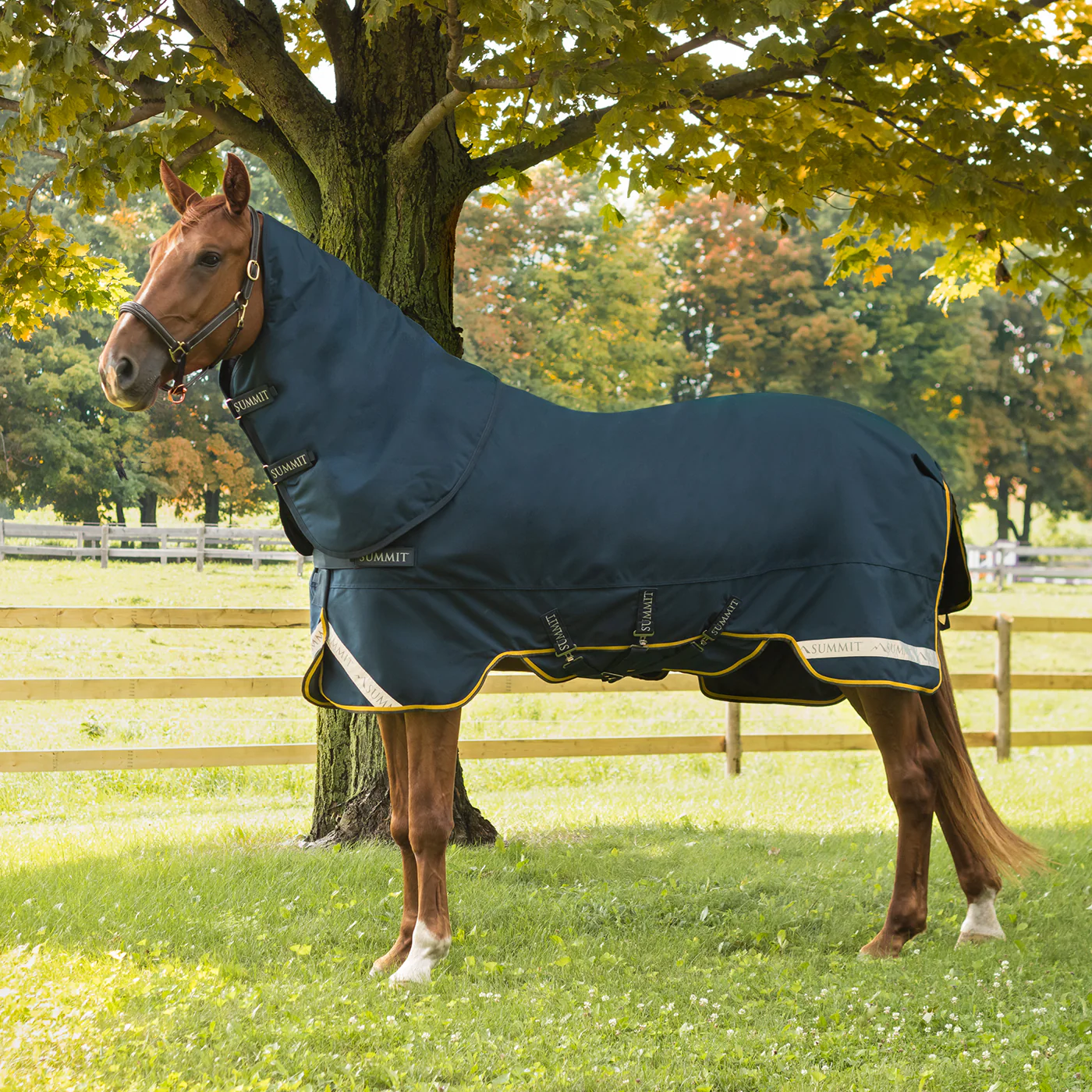 Summit Nova Turnout Blanket 250 g W/ 150 g Hood - Image 12