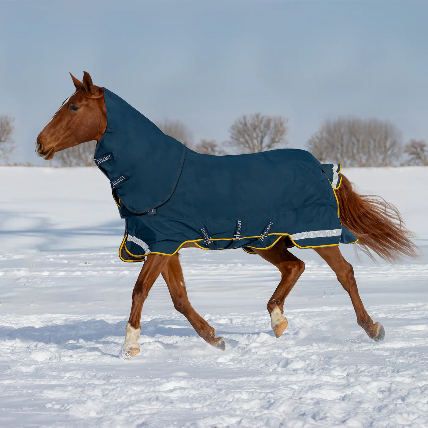 Summit Nova Turnout Blanket 250 g W/ 150 g Hood - Image 5