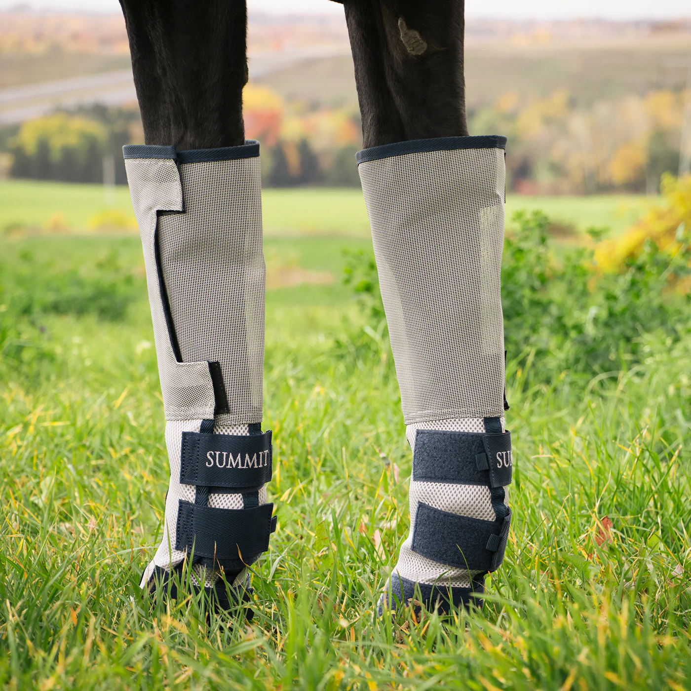 Summit Verano Fly Boots - Image 2