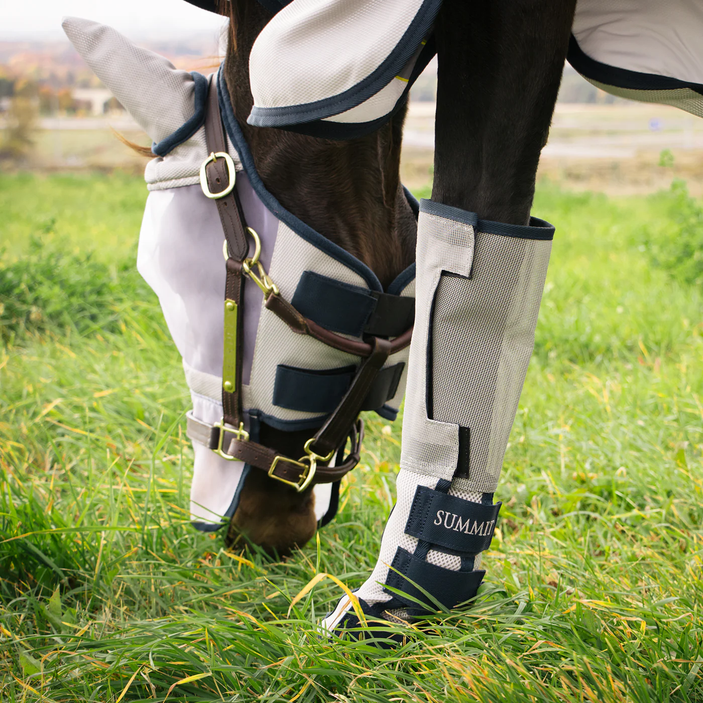 Summit Verano Fly Boots - Image 6