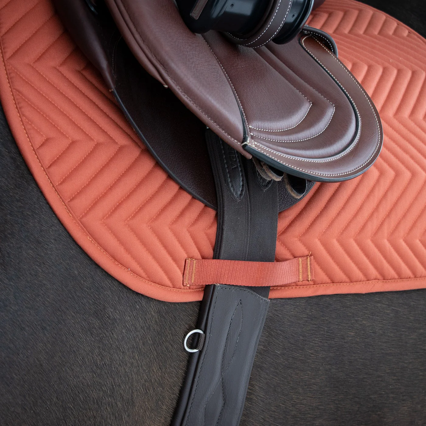 Everyday Essential Saddle Pad - Image 12