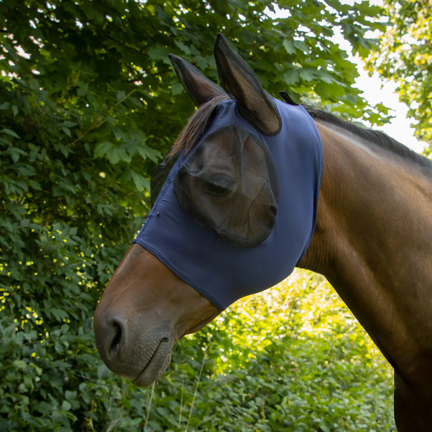 Supra Lycra Fly Mask W/ Forelock Hole - Image 10