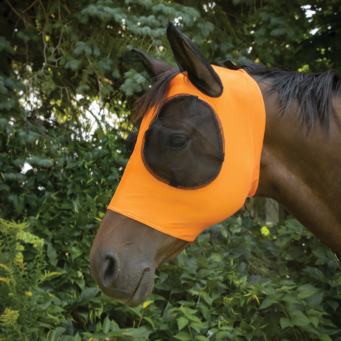 Supra Lycra Fly Mask W/ Forelock Hole - Image 14