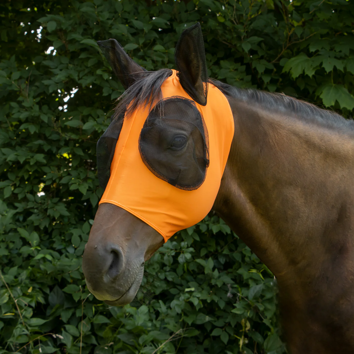 Supra Lycra Fly Mask W/ Forelock Hole - Image 15