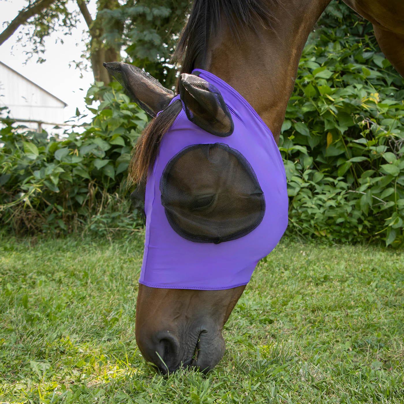 Supra Lycra Fly Mask W/ Forelock Hole - Image 18