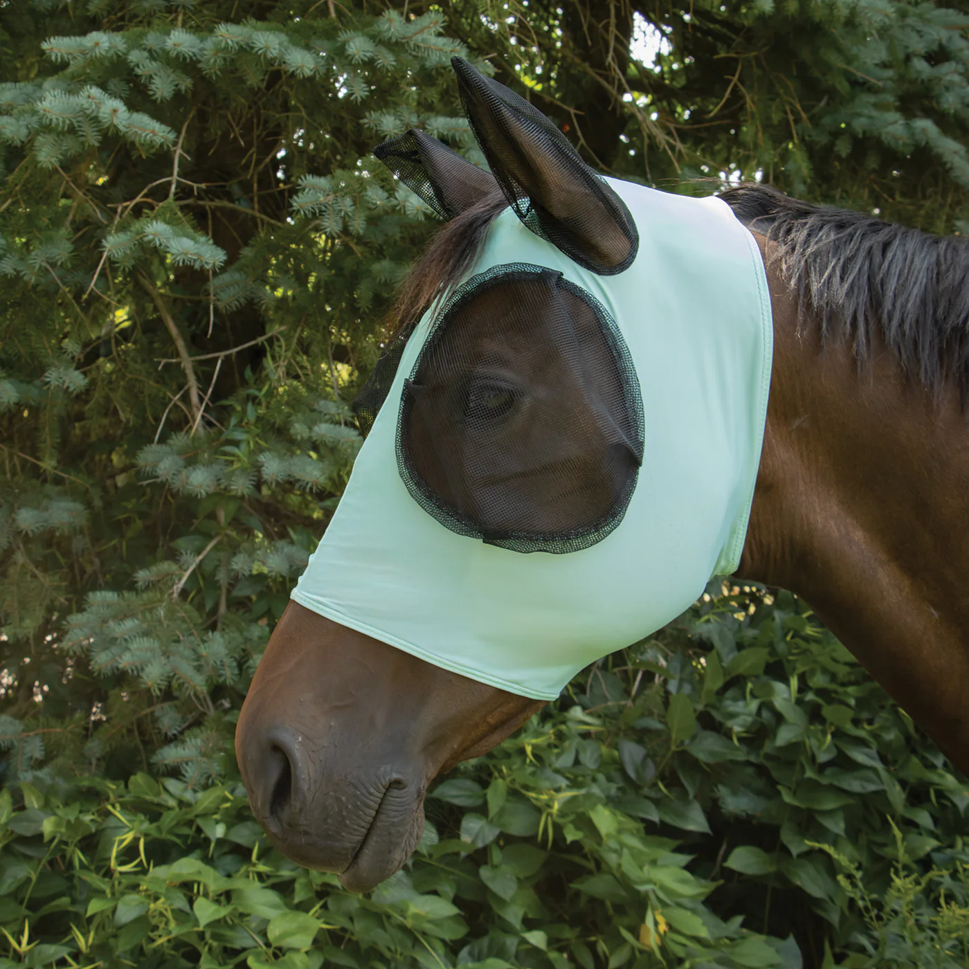 Supra Lycra Fly Mask W/ Forelock Hole - Image 20