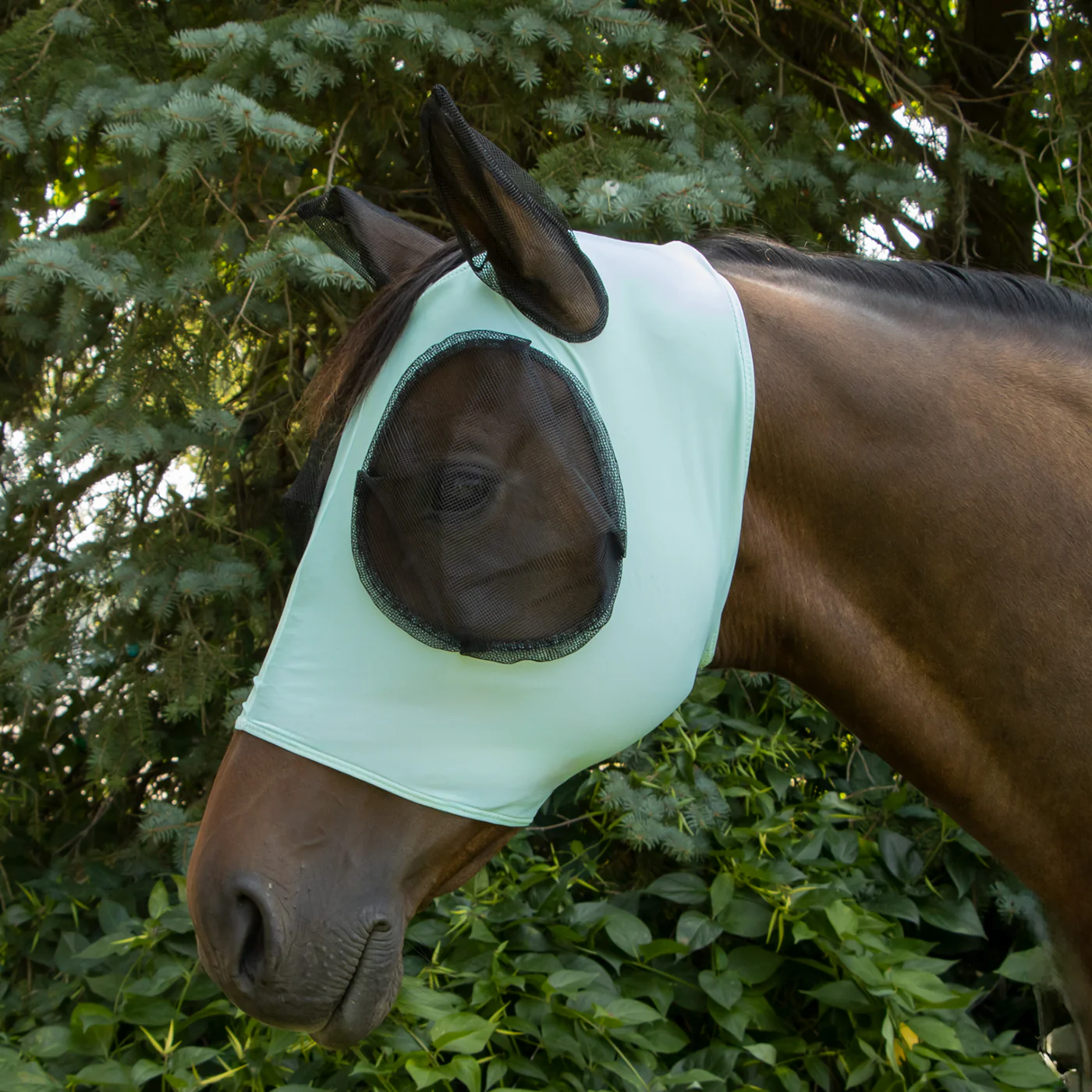 Supra Lycra Fly Mask W/ Forelock Hole - Image 21