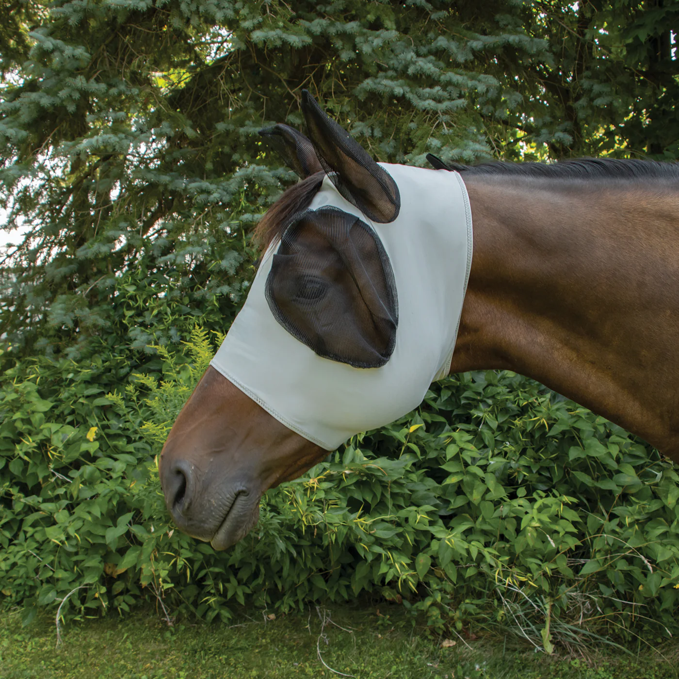 Supra Lycra Fly Mask W/ Forelock Hole - Image 8