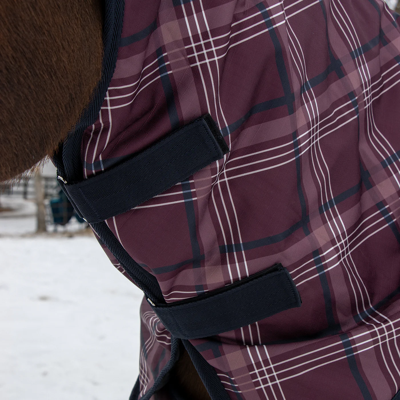 Supra Full Neck Turnout Blanket 300 g - Image 5