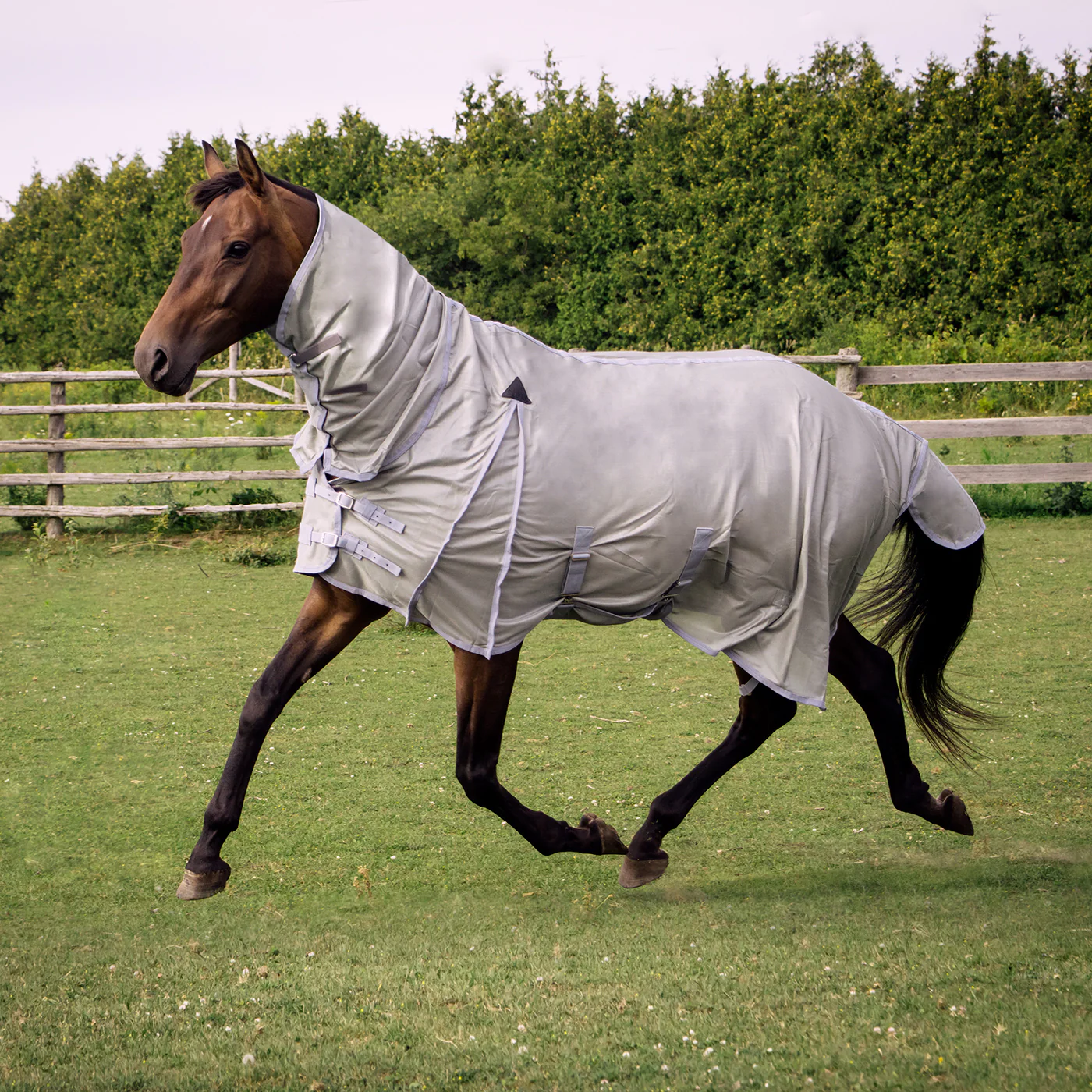 Supra Full Neck Mesh Fly Sheet - Image 4