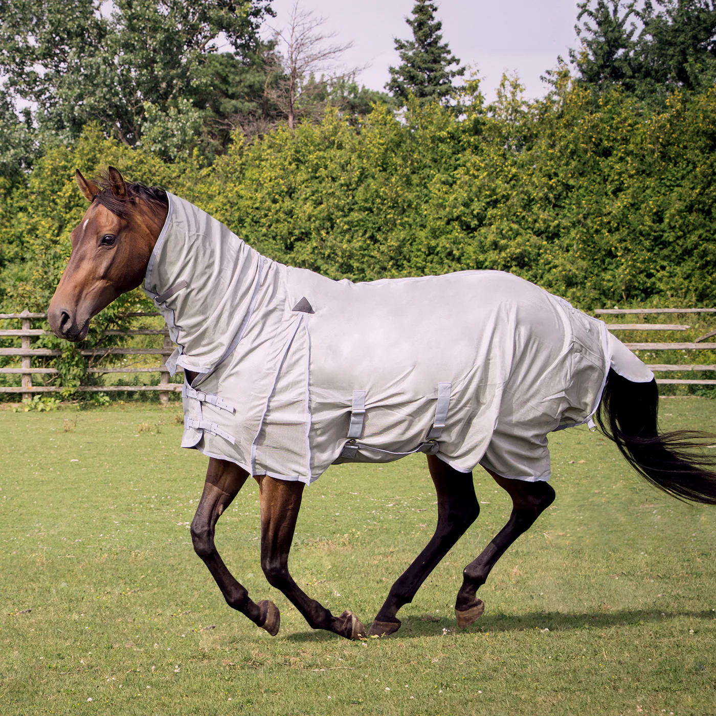 Supra Full Neck Mesh Fly Sheet - Image 5