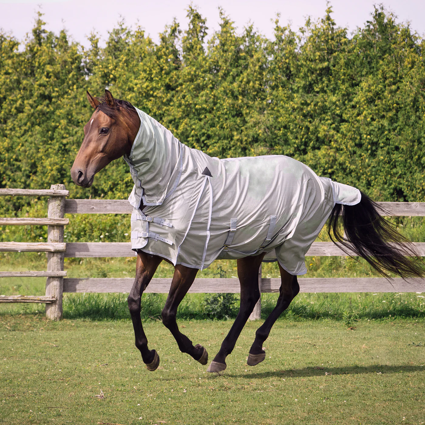 Supra Full Neck Mesh Fly Sheet - Image 6