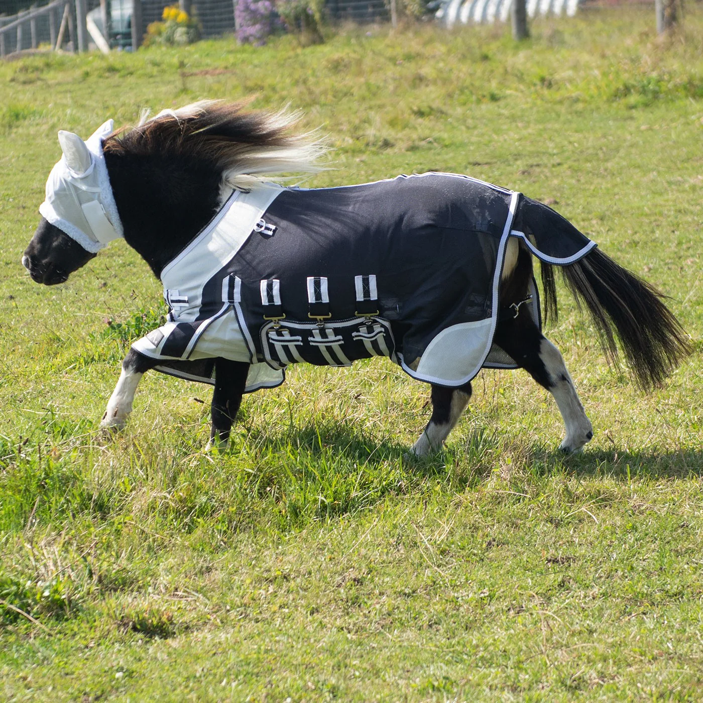 Supra Miniature Fly Sheet W/ Belly Band & Fly Mask - Image 7