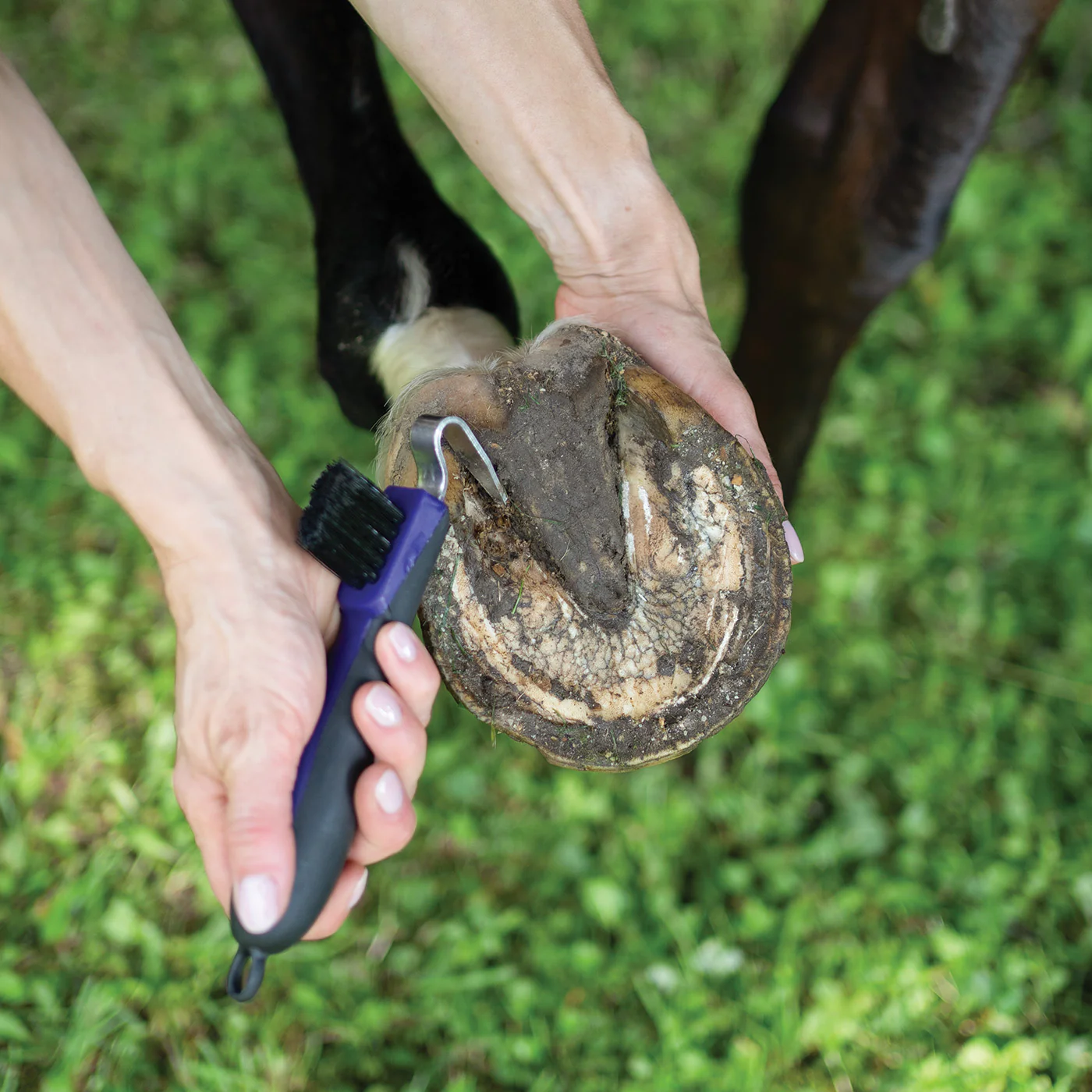 Supra Soft Touch Hoof Pick W/ Brush - Image 3