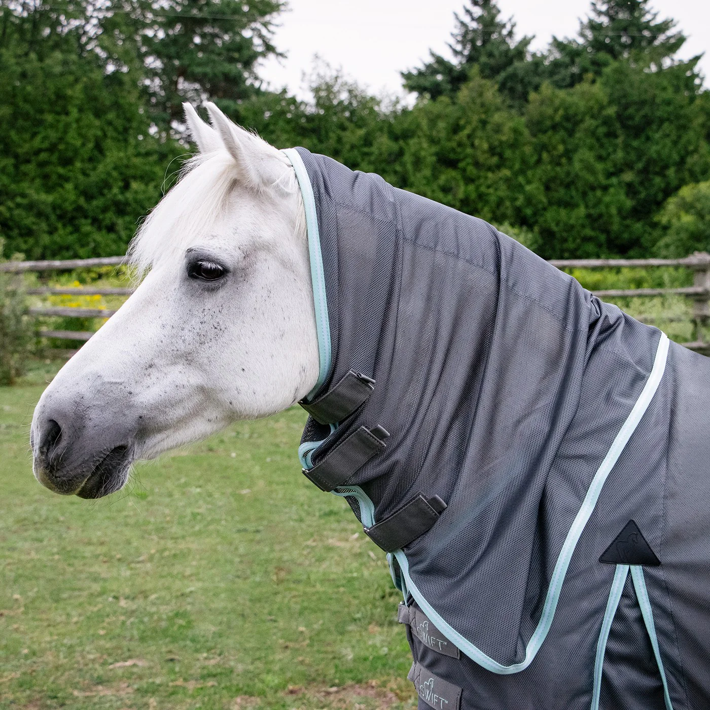 Swift Pony Fly Sheet W/ Detachable Hood - Image 4